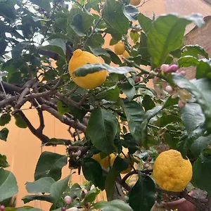 Appartement Vicino Al Mare, Moneglia